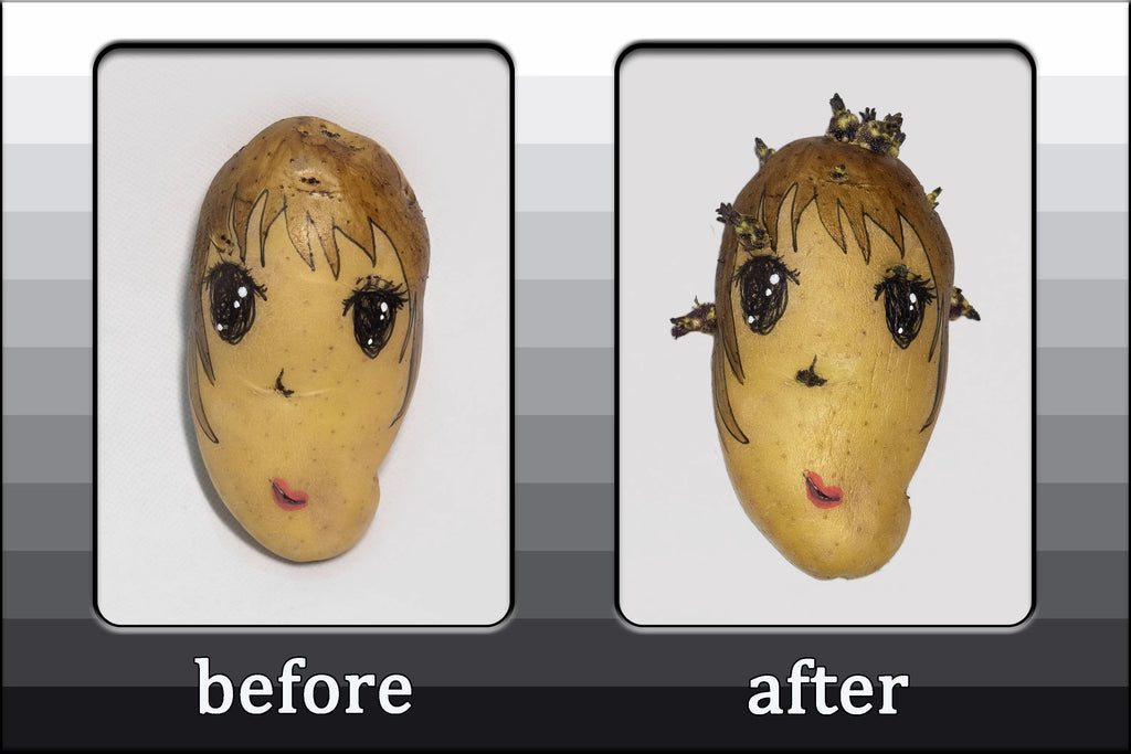 Niptong Vegetable Faces Stickers