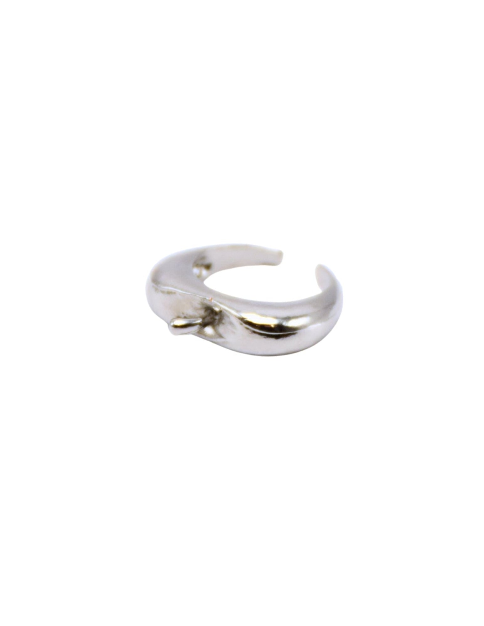 Tiny Eden Ring