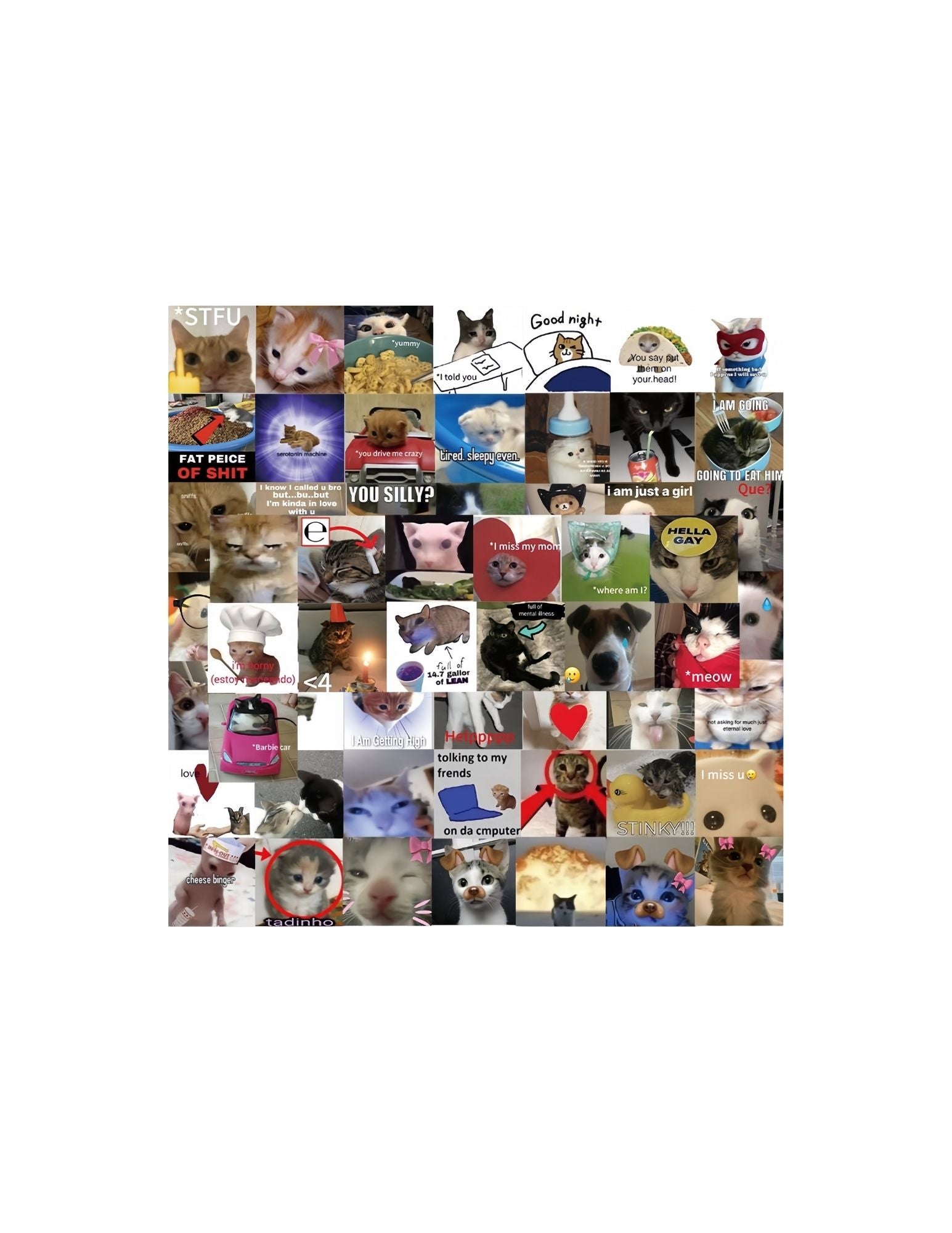 Cat Meme Sticker Pack - 60 Stickers