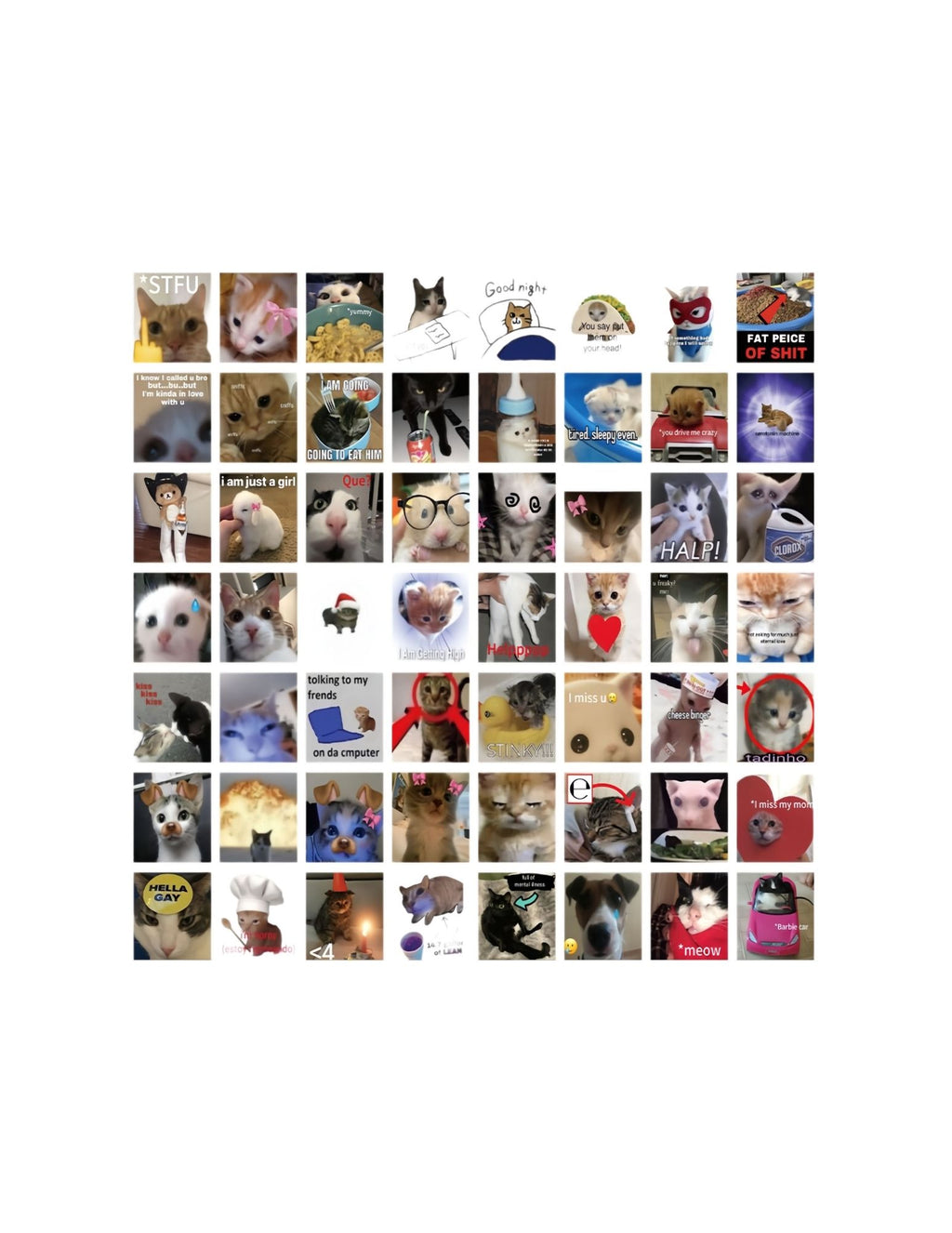 Cat Meme Sticker Pack - 60 Stickers