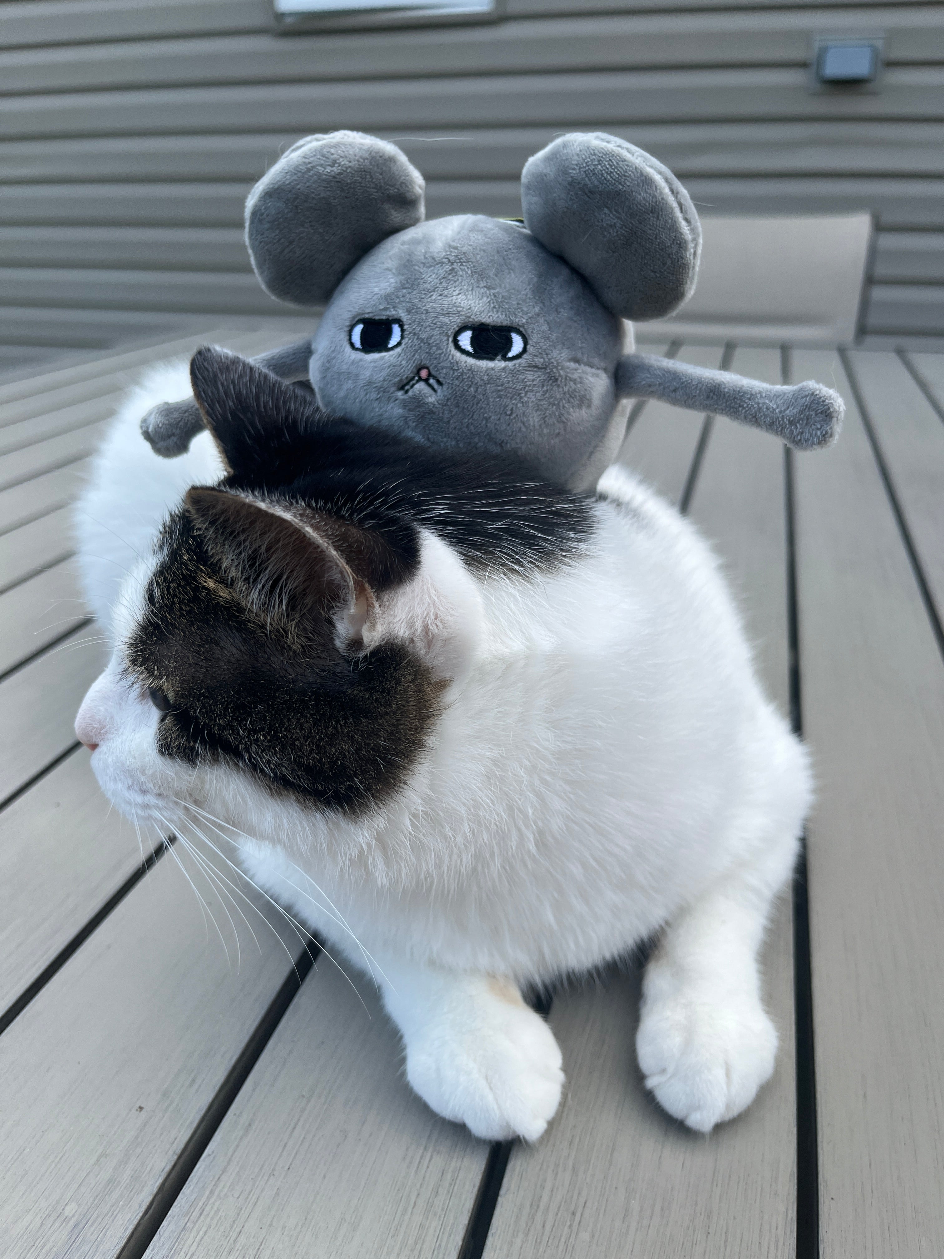 Flying Shumo Plush Keychain