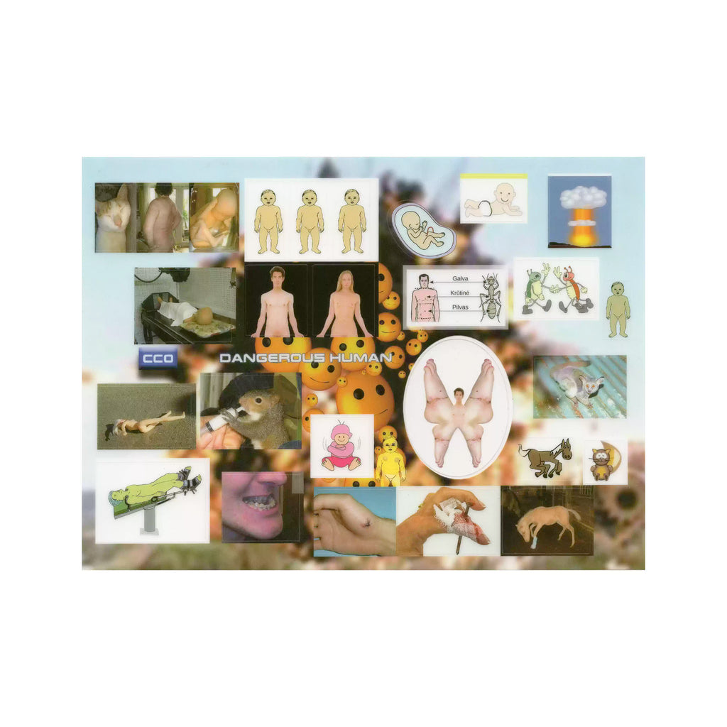 niptong Anatomical Dreams Stickers