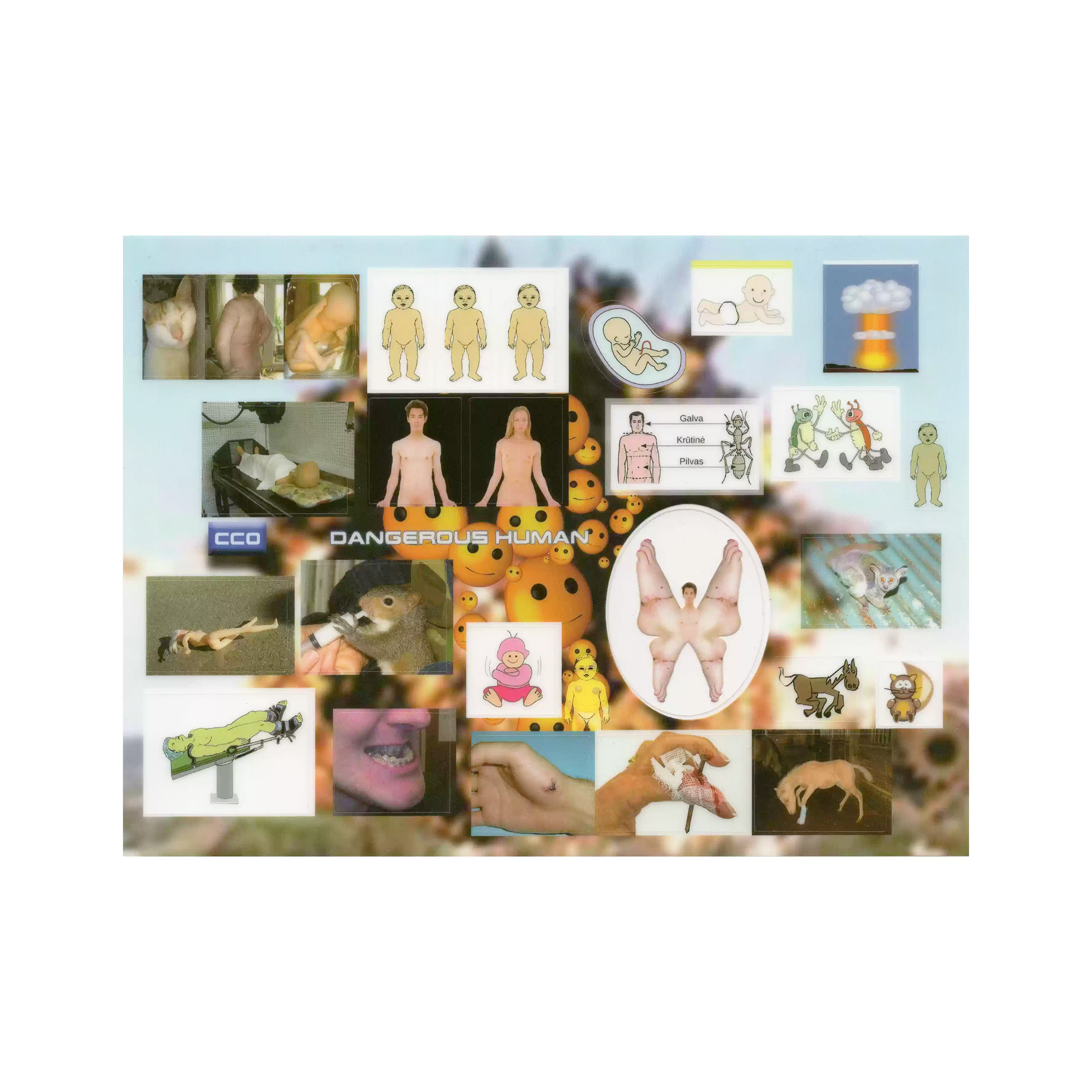 niptong Anatomical Dreams Stickers