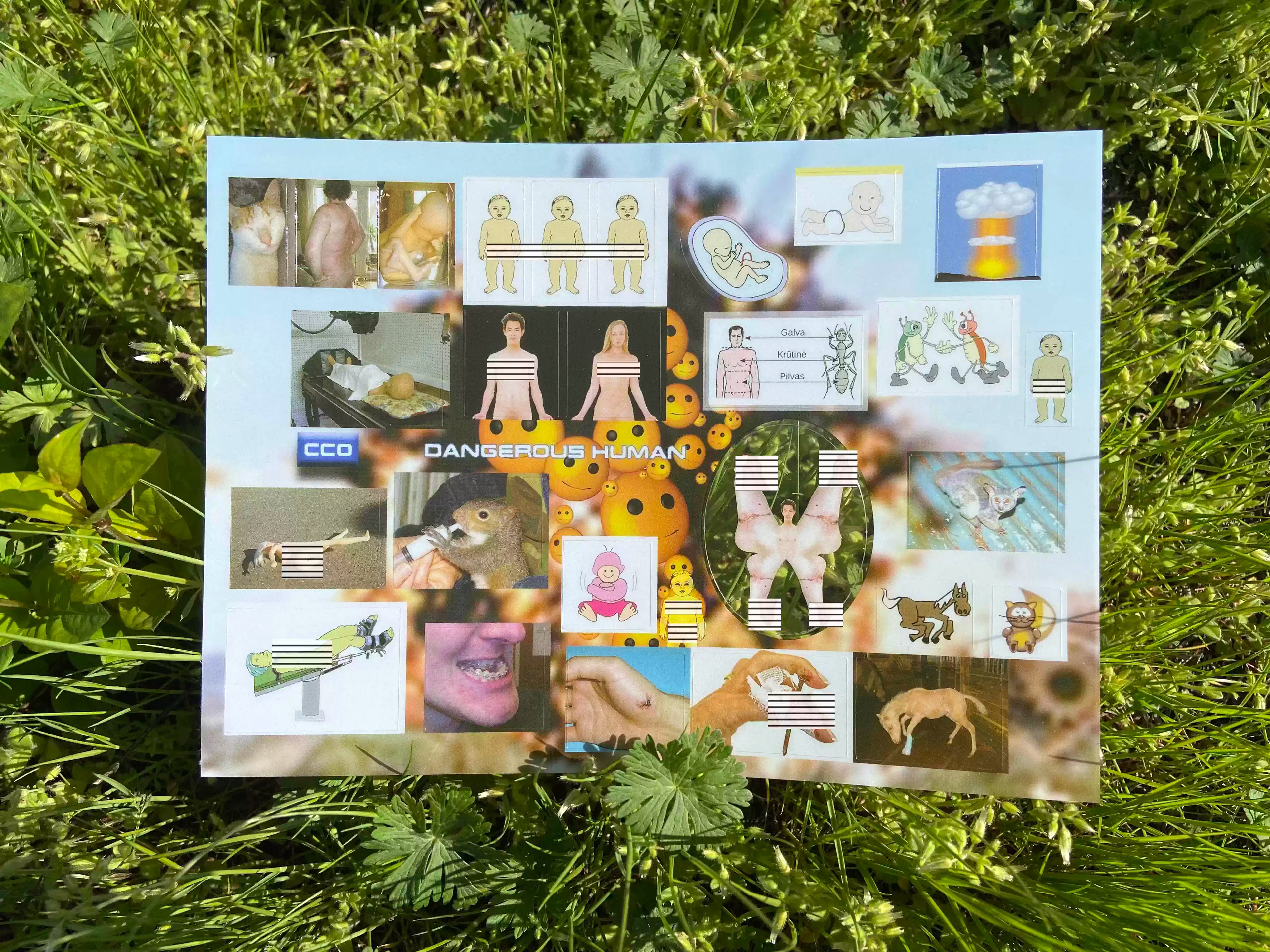 niptong Anatomical Dreams Stickers