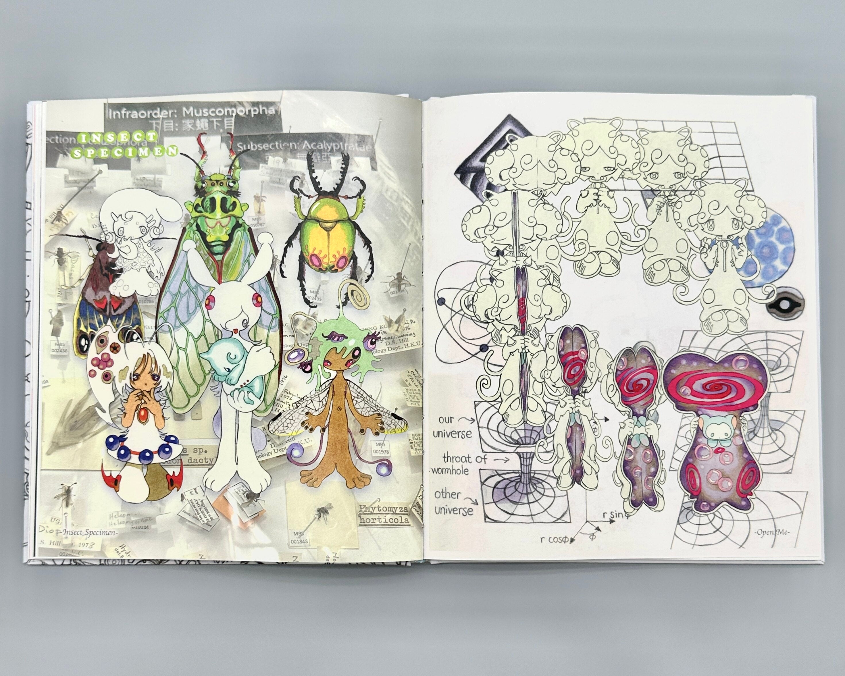 Oliwa 2025 Dream Sequence Zine