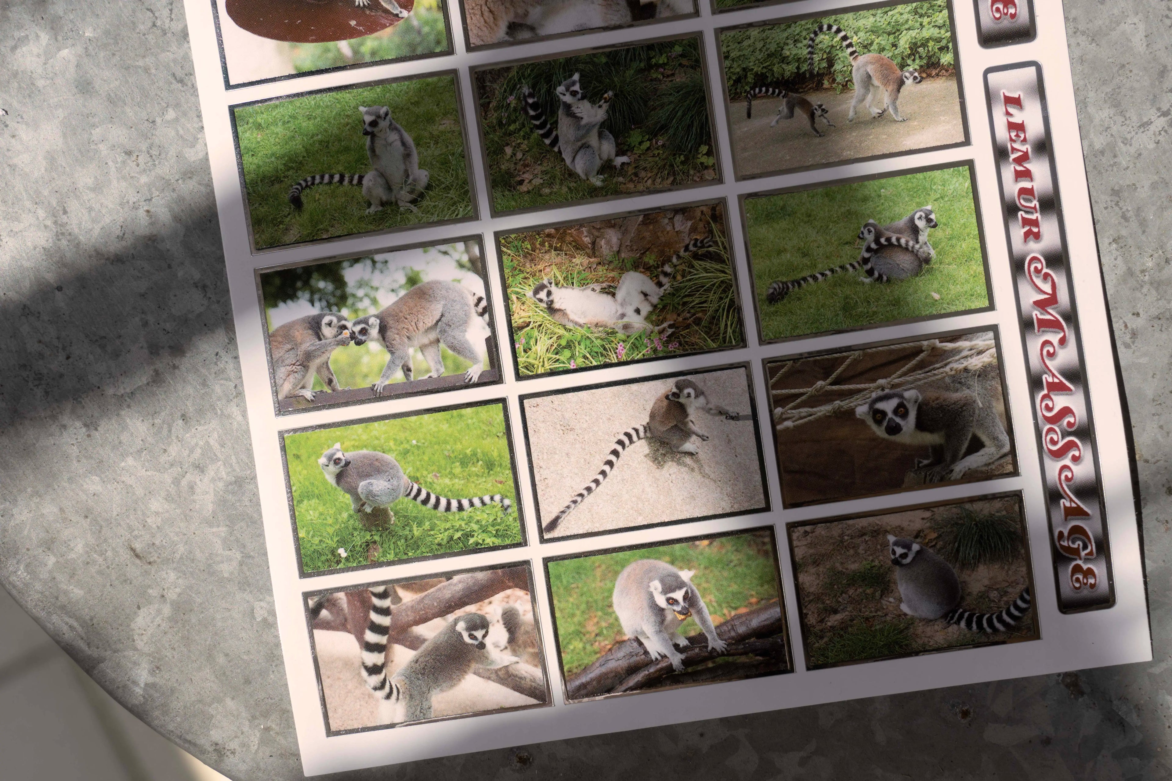 Niptong Lemur massage Stickers