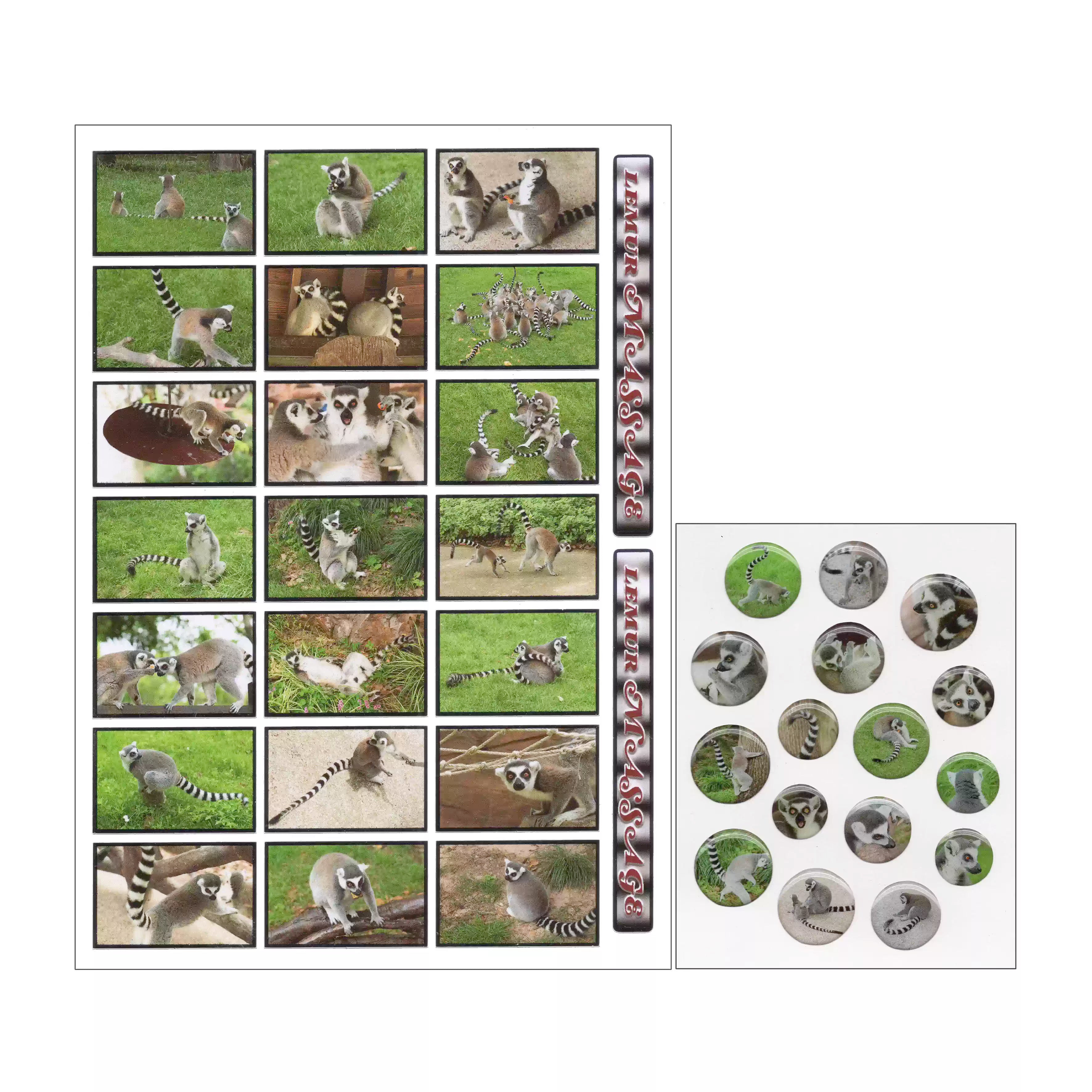 Niptong Lemur massage Stickers