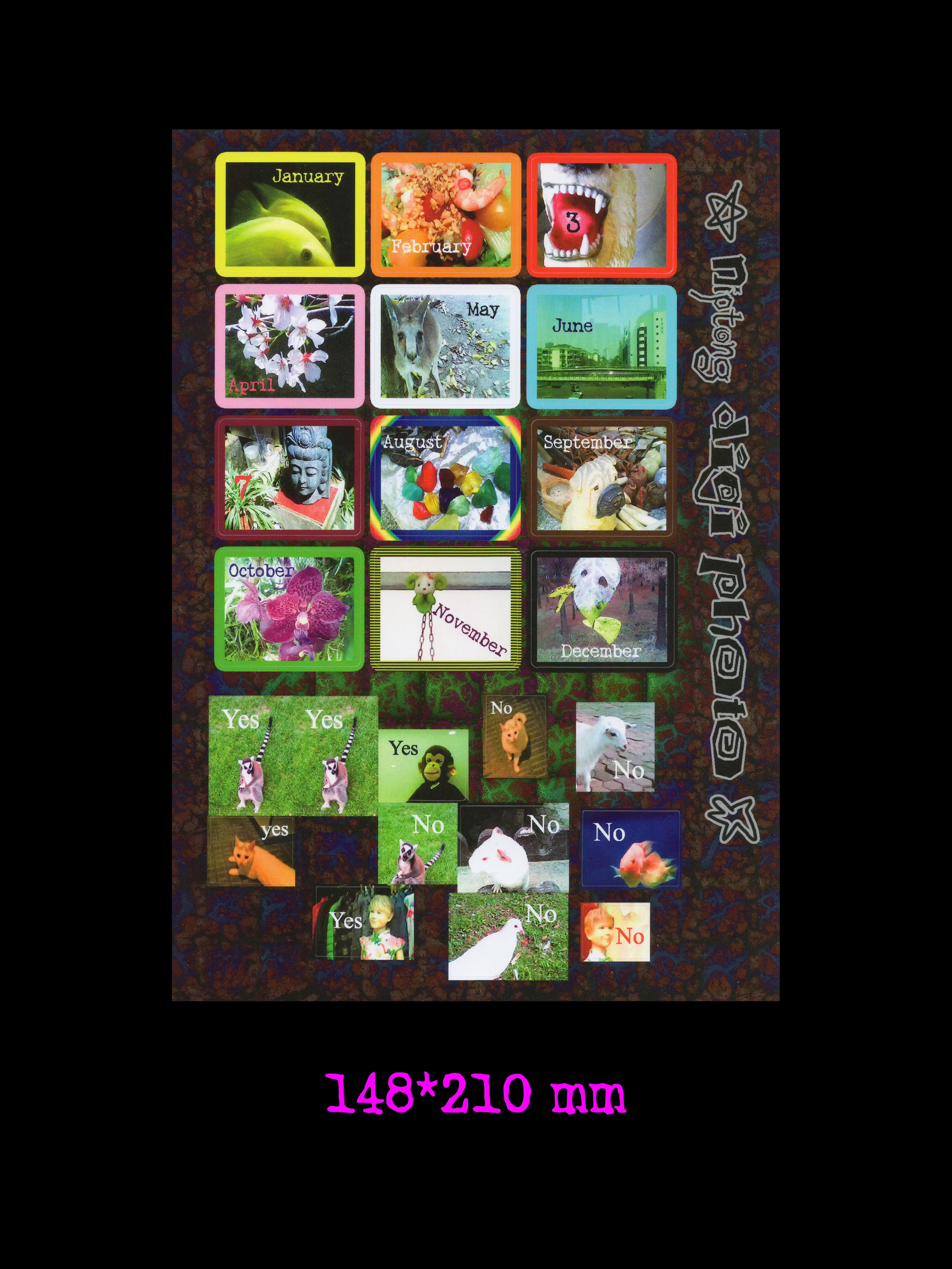 Niptong Digi Photo Yes or No Stickers