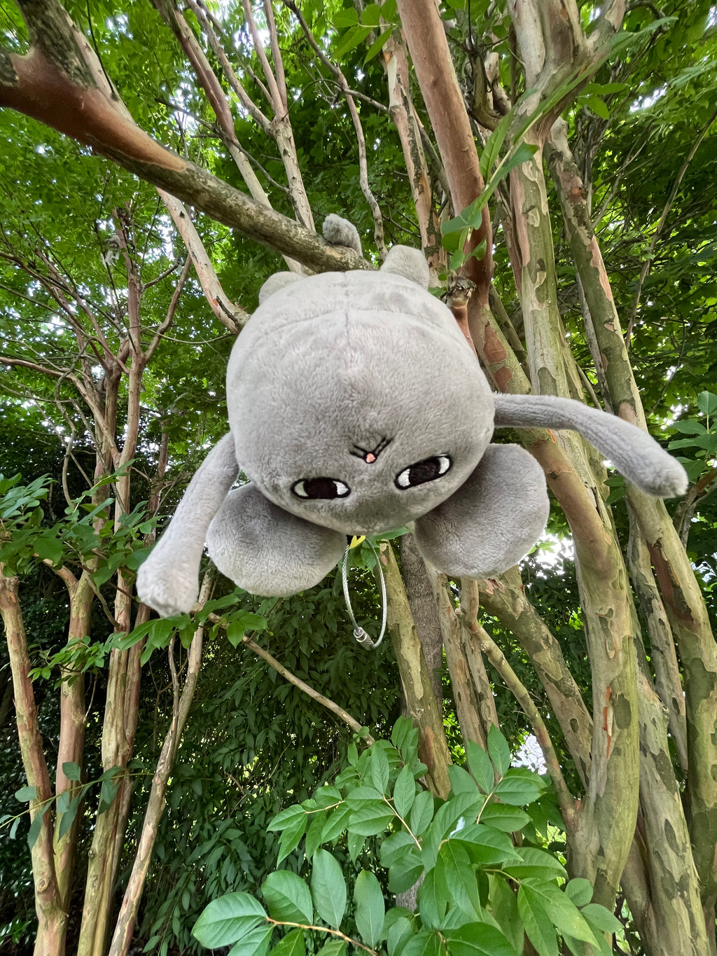 Flying Shumo Plush Keychain