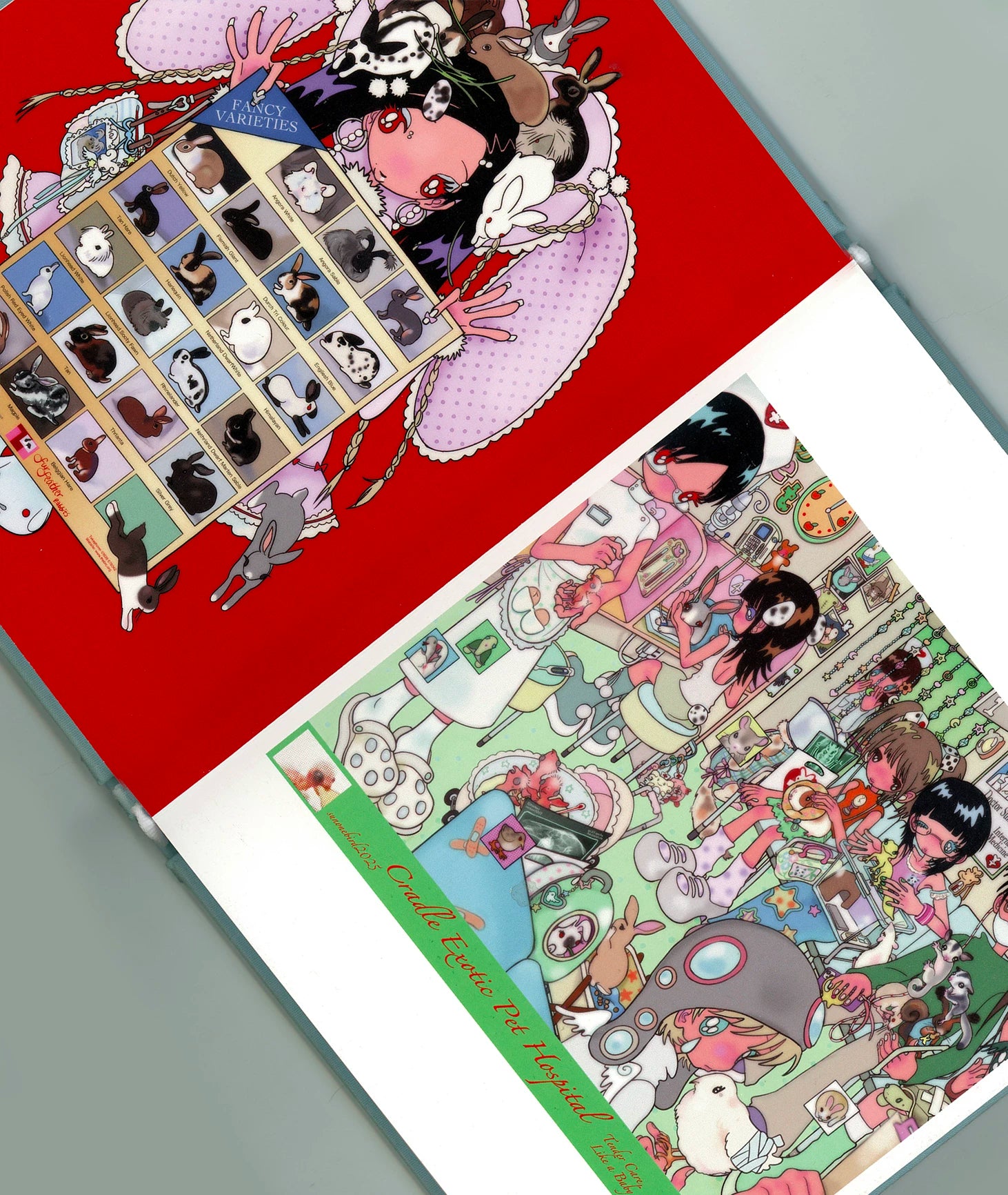 Sunonebird Pillow Castle Zine