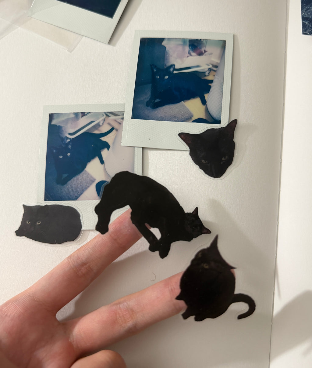 Xizi I love my cat sticker