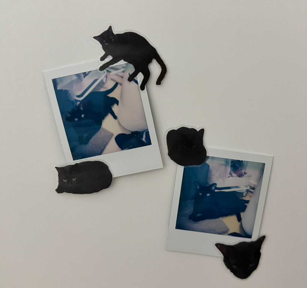 Xizi I love my cat sticker