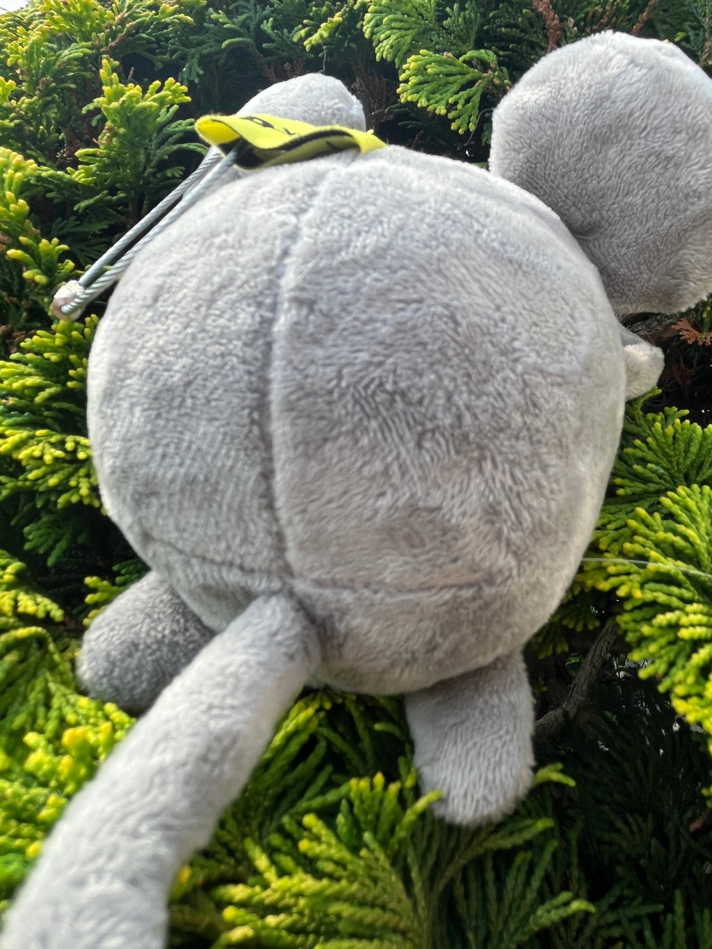 Flying Shumo Plush Keychain