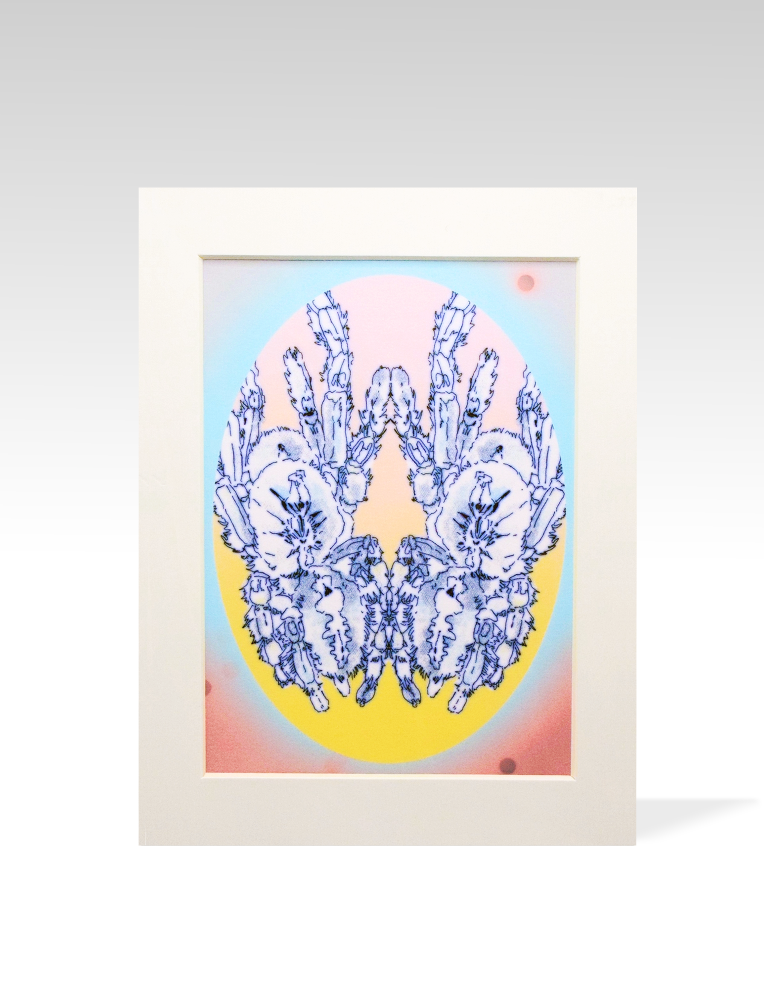 xizi Gooty Tarantula (spider) Giclee